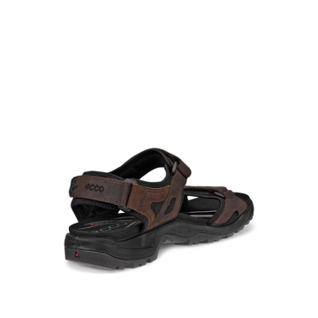 Ecco Offroad Sandal