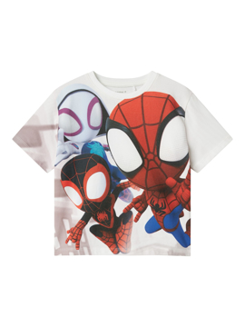 Name It Mario Spider Top